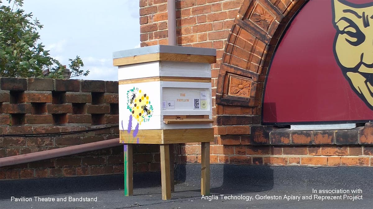 Bees from the Pavilion's former rooftop hives